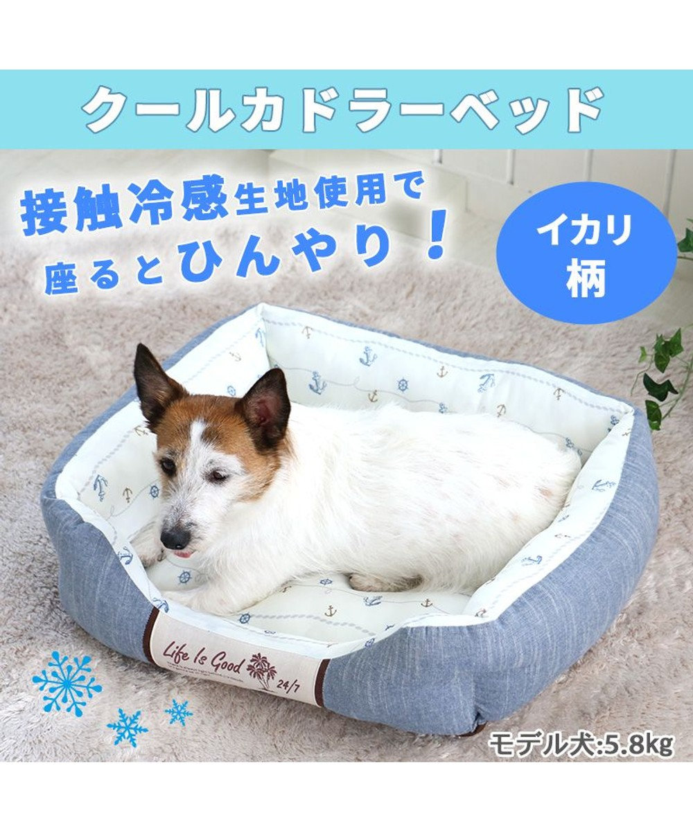 ペットパラダイス クール カドラー ベッド （57×45cm） 四角 錨柄 / PET PARADISE | 【通販】雑貨とペット用品の通販サイト |  マザーガーデン＆ペットパラダイス