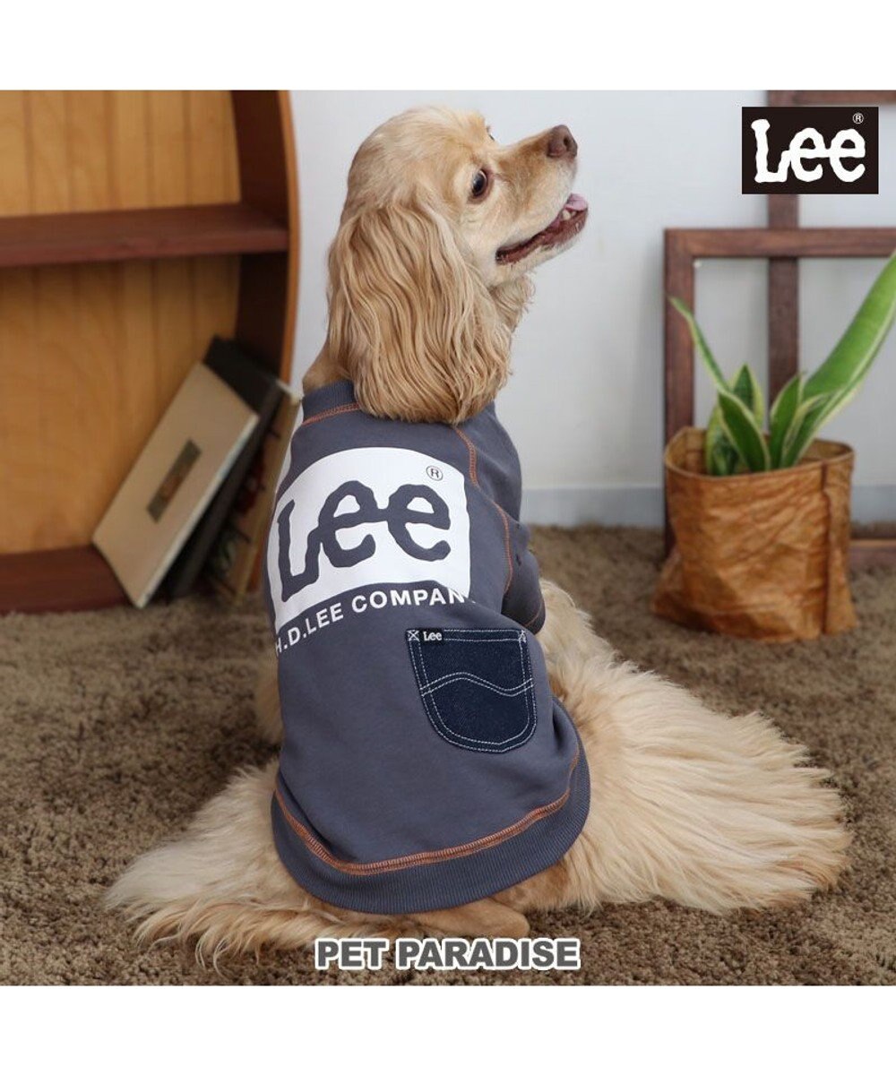 PET PARADISE Lee ステッチ トレーナー 《グレー》 中型犬 大型犬 グレー