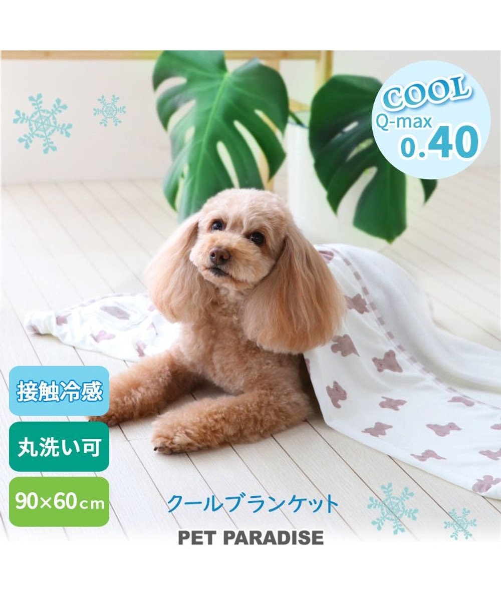 PET PARADISE ペットパラダイス くまちゃん クールブランケット (90×60cm) ベージュ
