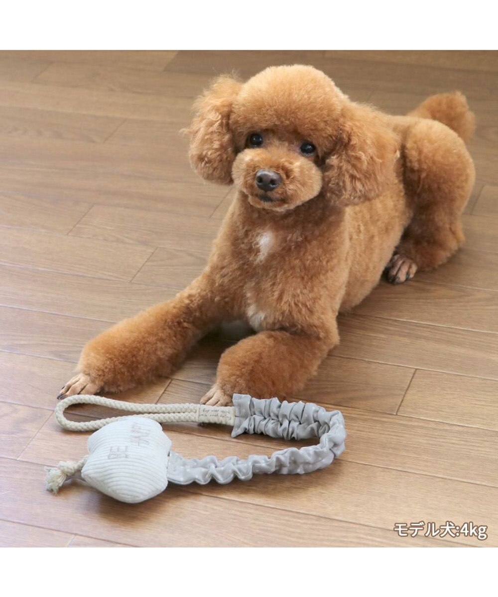 PET PARADISE ペットパラダイス 引っ張り トイ 《雲/星》 