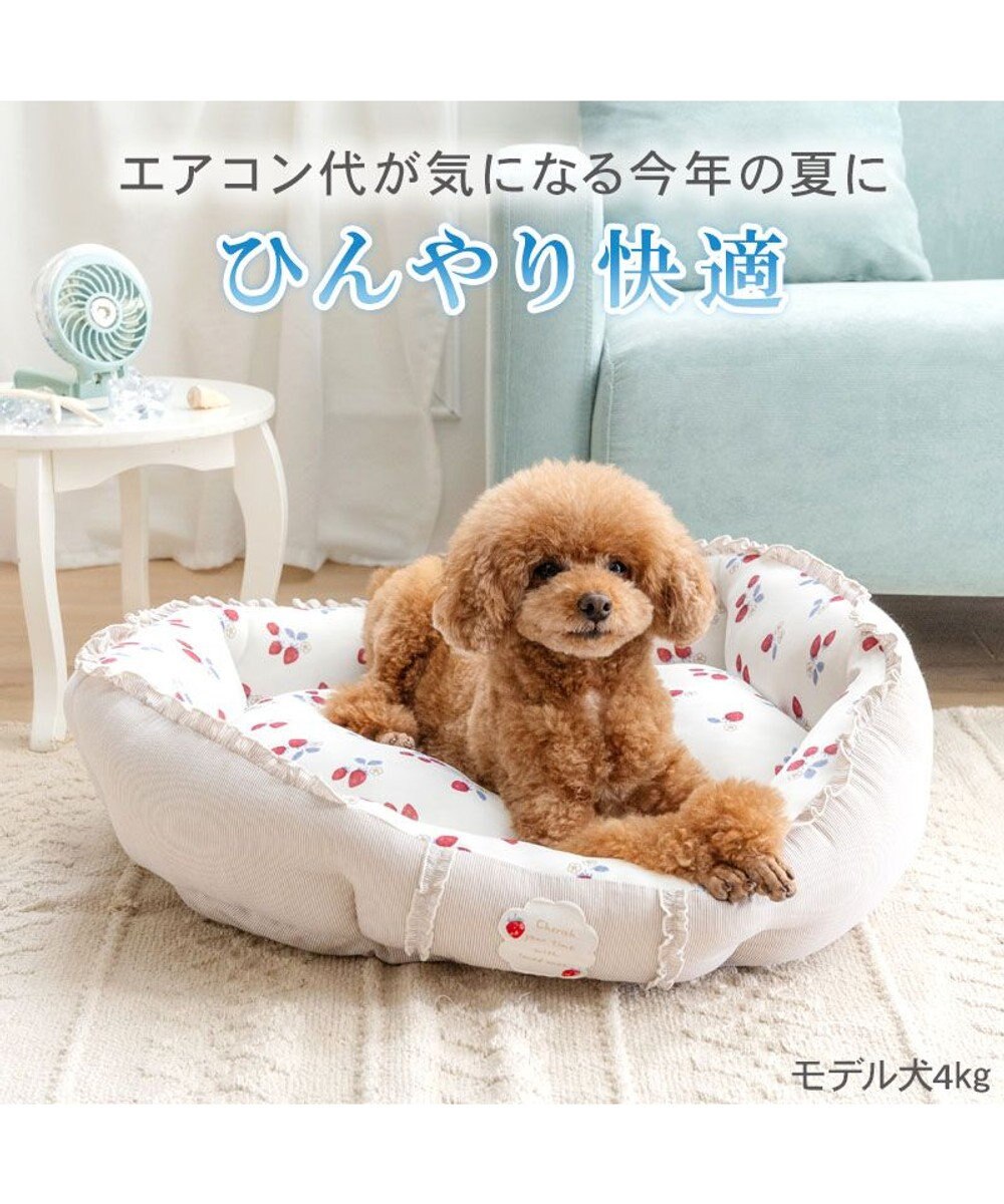 PET PARADISE ペットパラダイス クールカドラー 丸型 《苺花柄》 Ｍ 
