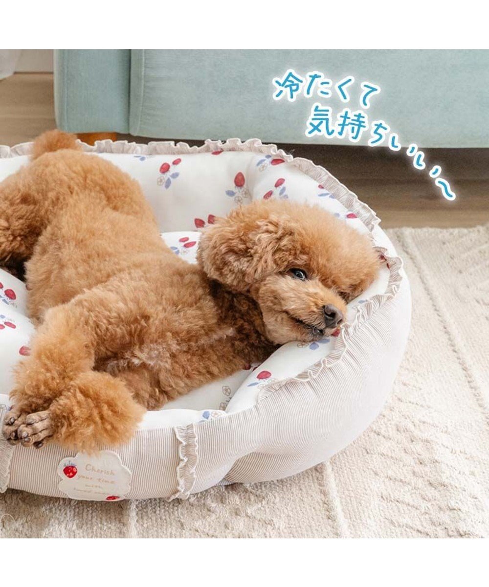 PET PARADISE ペットパラダイス クールカドラー 丸型 《苺花柄》 Ｍ 