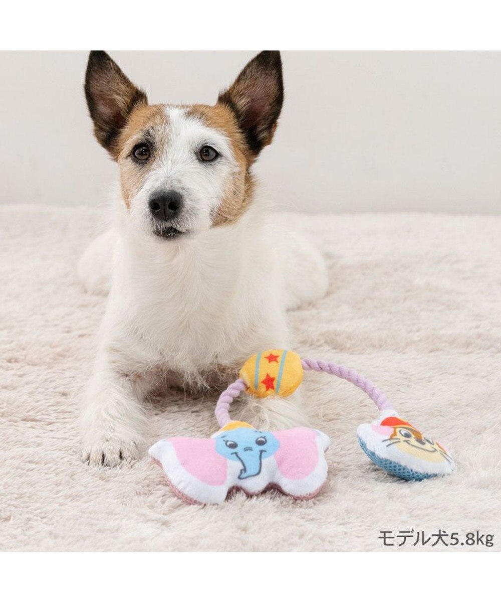 PET PARADISE ディズニー ダンボ &ティモシー  ロープトイ