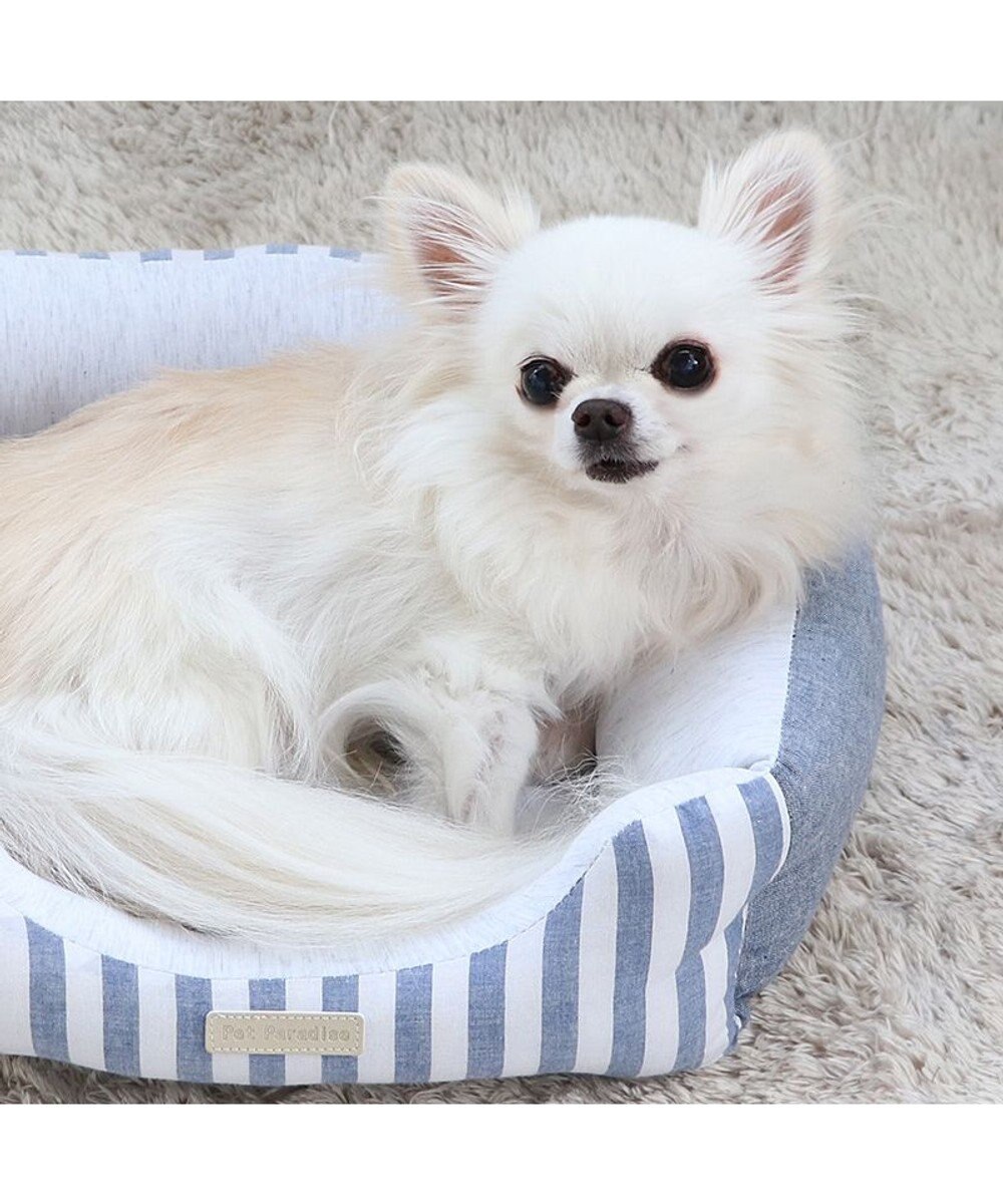 PET PARADISE ペットパラダイス　ストライプカドラー《ブルー》 S 超小型犬 