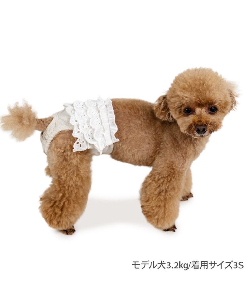 PET PARADISE ペットパラダイス レースフリル サニタリーパンツ 