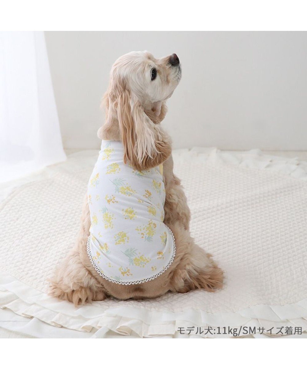 PET PARADISE ペットパラダイス はじめてタンクトップ 《ミモザ柄》 中型犬 大型犬 