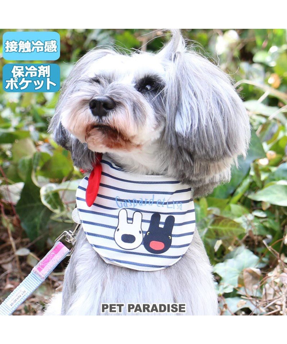 犬 クール バンダナ ひんやり 夏 保冷剤付き リサとガスパール ボーダー ネッククーラー 小型犬 首元 ひんやり バンダナ ひんやり 涼感 冷却 吸水速乾 キャラクター Pet Paradise 通販 雑貨とペット用品の通販サイト マザーガーデン ペットパラダイス 犬 クール バンダナ ひんやり 夏 保冷剤付き リサとガスパール ボーダー ネッククーラー 小型犬 首元 ひんやり バンダナ ひんやり 涼感 冷却 吸水速乾 キャラクター Pet Paradise 通販 雑貨とペット用品の通販サイト マザーガーデン ペットパラダイス