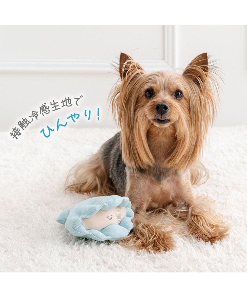 PET PARADISE ペットパラダイス 貝殻 クール トイ 