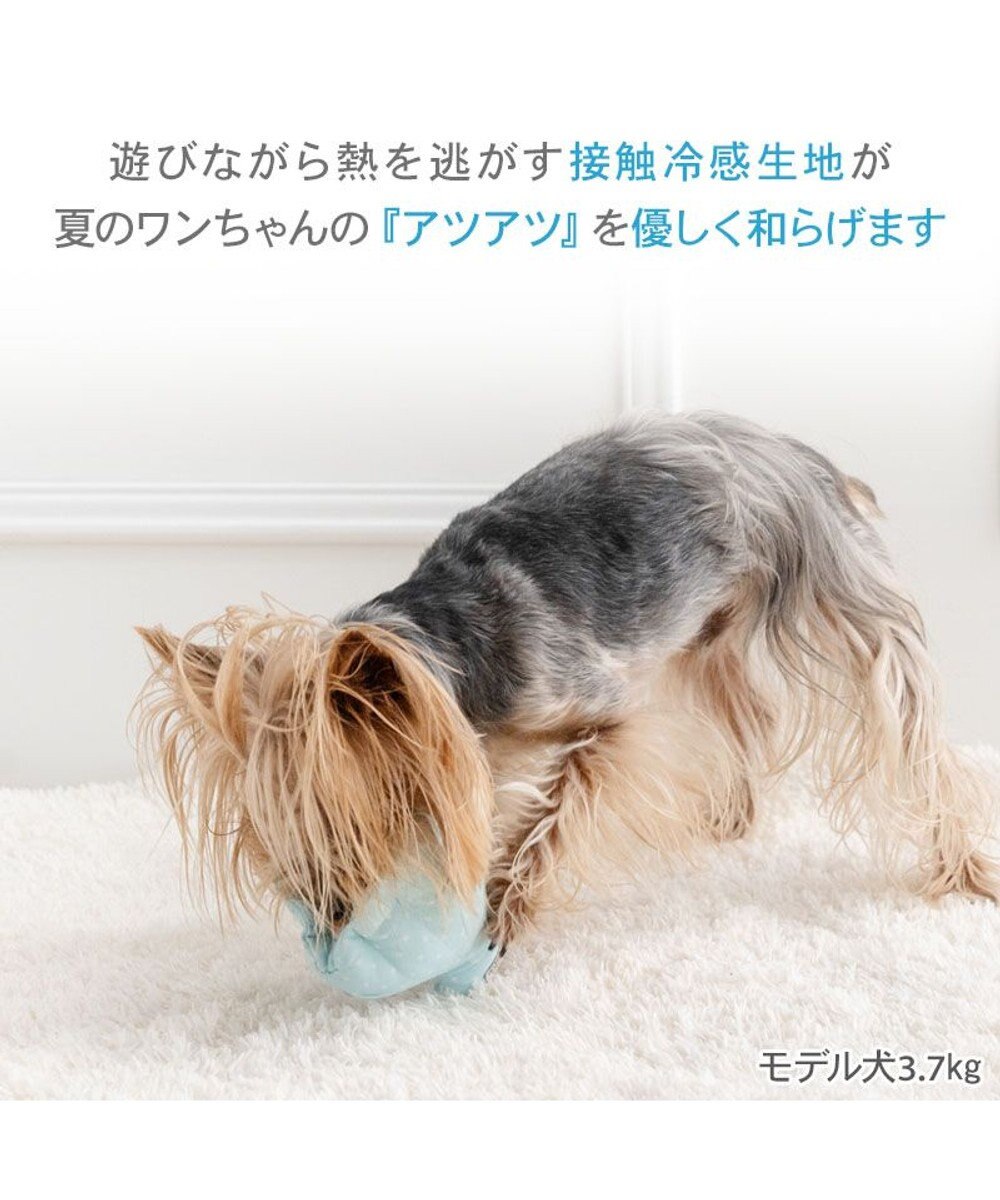 PET PARADISE ペットパラダイス 貝殻 クール トイ 