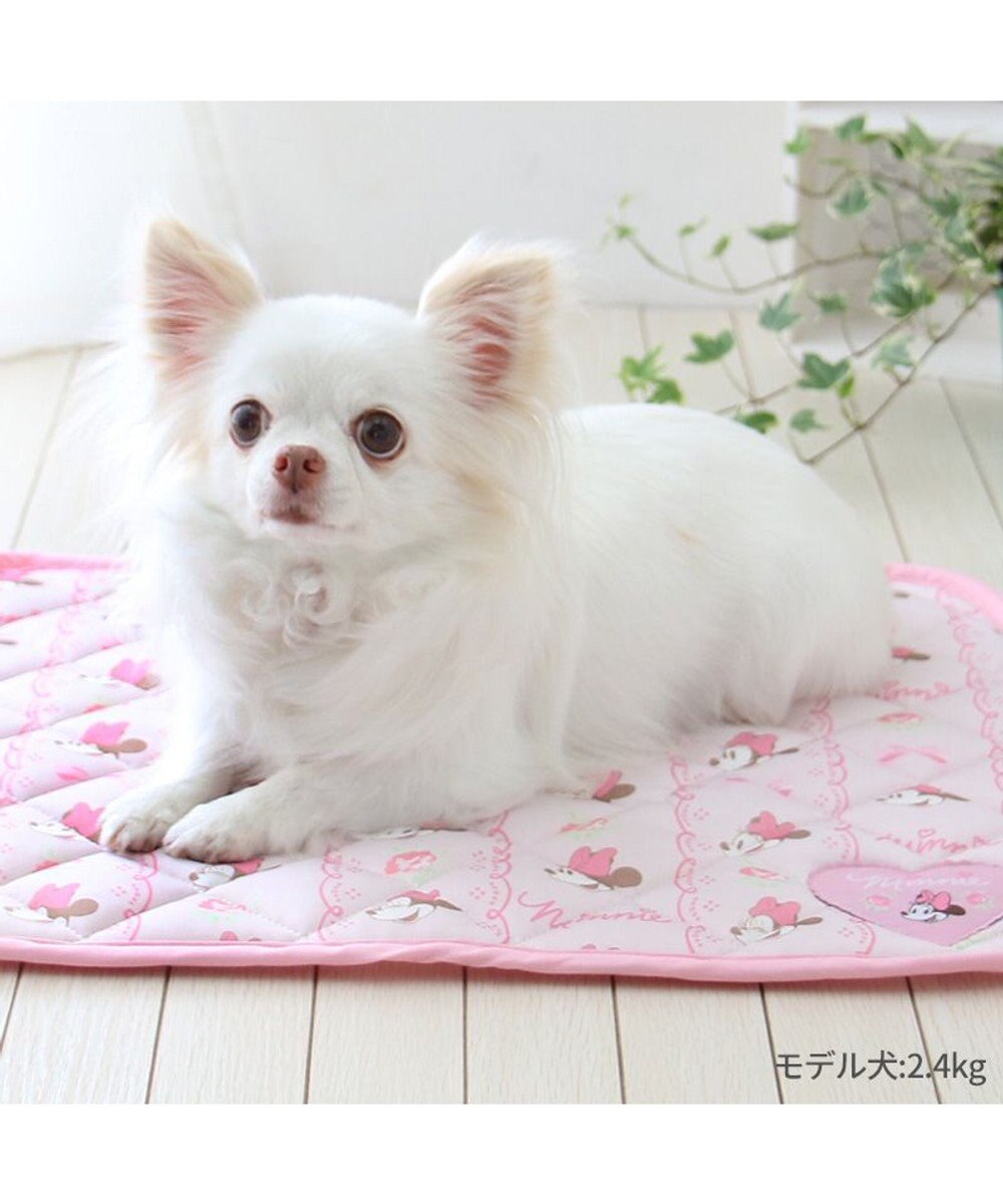 PET PARADISE ディズニー ミニーマウス レース クール マット 小型犬 48×40㎝ 