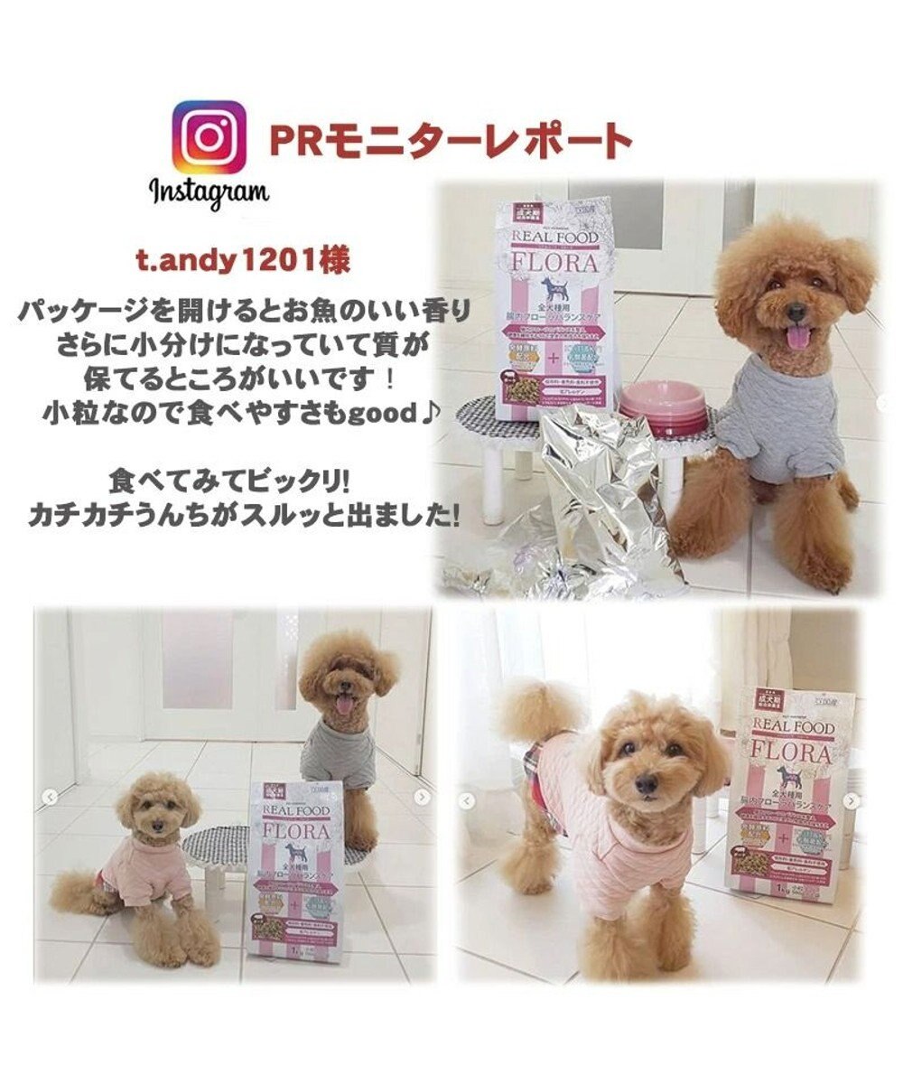 PET PARADISE ペットパラダイス  国産 ドッグフード フローラ3kg 