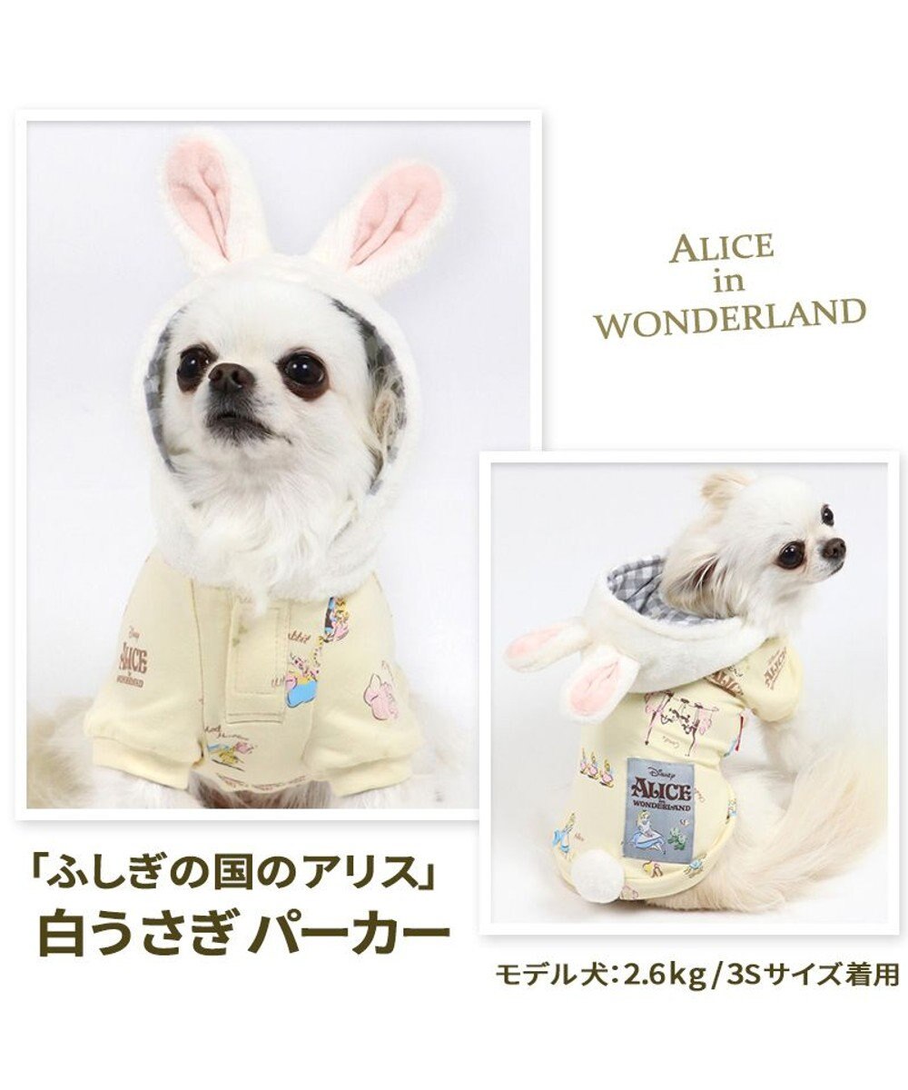 犬 服 夏 ディズニー ふしぎの国のアリス パーカー 小型犬 白ウサギ 犬服 犬の服 犬 服 ペットウエア ペットウェア ドッグウエア ドッグウェア ベビー 超小型犬 小型犬 Pet Paradise 通販 雑貨とペット用品の通販サイト マザーガーデン ペットパラダイス 犬 服 夏 ディズニー ふしぎの国のアリス パーカー 小型犬 白ウサギ 犬服 犬の服 犬 服 ペットウエア ペットウェア ドッグウエア ドッグウェア ベビー 超小型犬 小型犬 Pet Paradise 通販 雑貨とペット用品の通販サイト マザーガーデン ペットパラダイス
