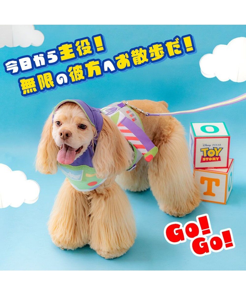 PET PARADISE ディズニー トイ・ストーリー バズ リード ＳＭ 