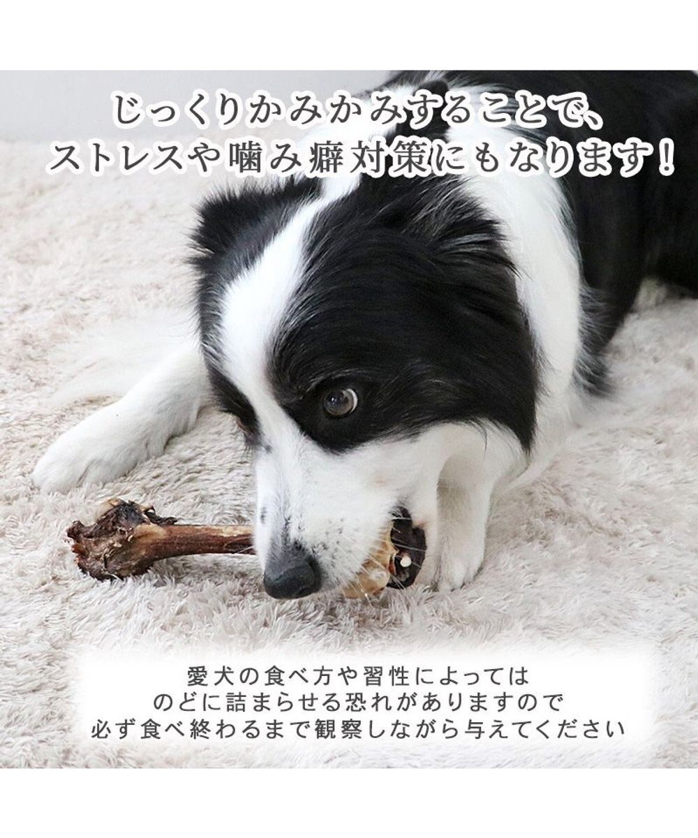 PET PARADISE ≪数量限定≫  鹿 げん骨 デンタルおやつ Mサイズ×2本 純国産 