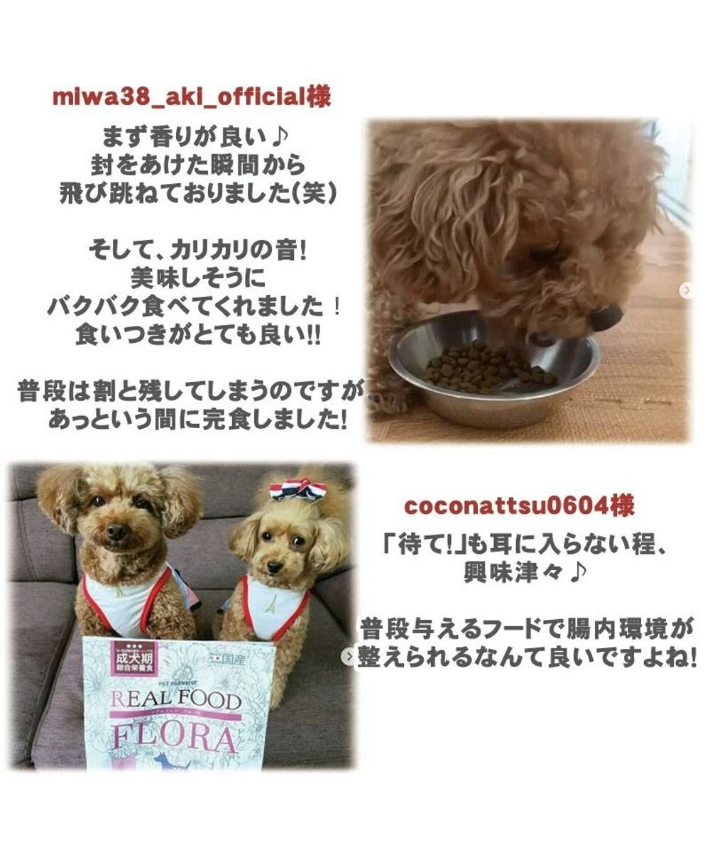 PET PARADISE ペットパラダイス  国産 ドッグフード フローラ3kg 