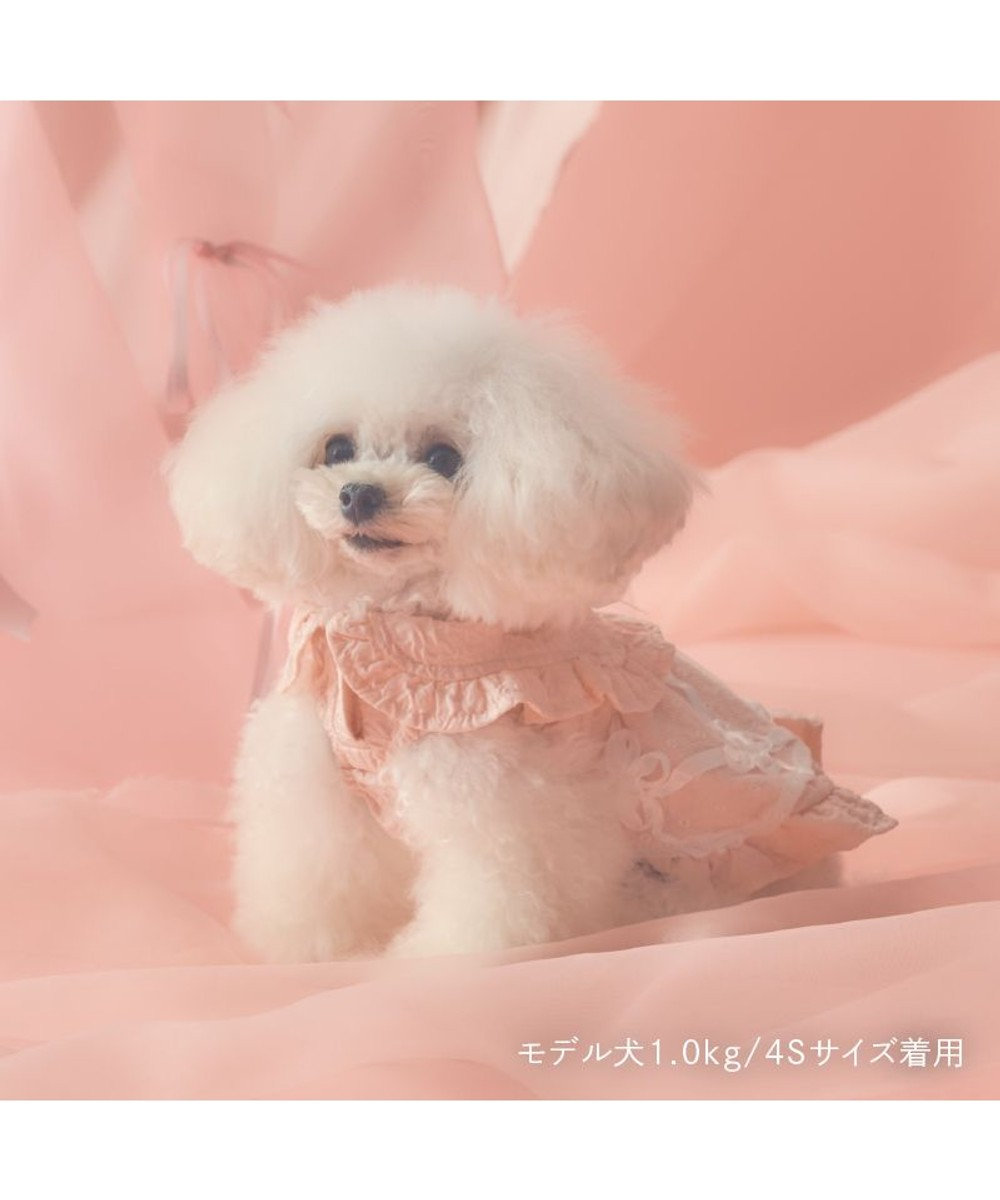 PET PARADISE cherircouture フリルカラーワンピース 小型犬 
