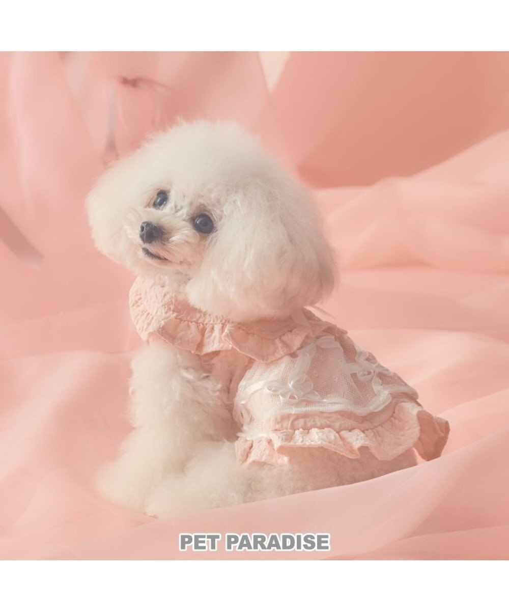 PET PARADISE cherircouture フリルカラーワンピース 小型犬 ピンク