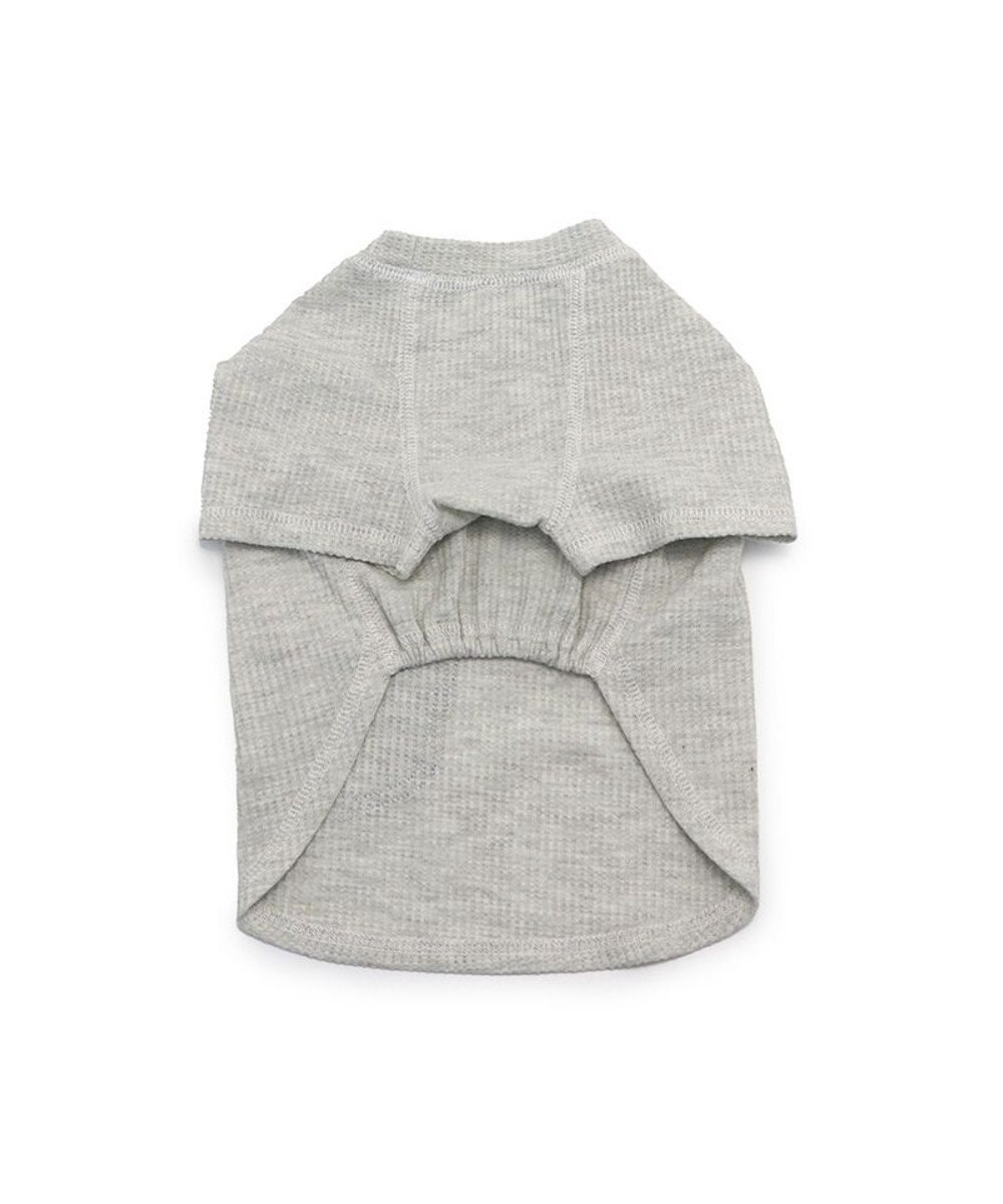 PET PARADISE Lee ワッフル Tシャツ 小型犬 