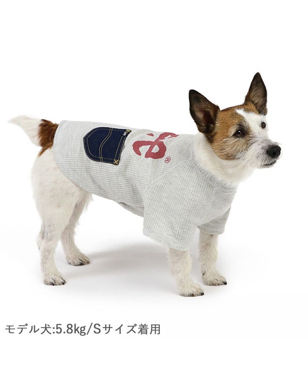 PET PARADISE Lee ワッフル Tシャツ 小型犬