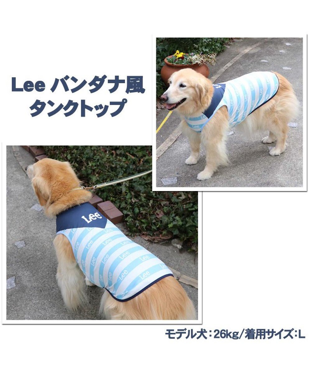 犬服 犬 服 ペットパラダイス ｌｅｅ クール 接触冷感 虫よけ バンダナプリント タンクトップ 中 大型犬 中型犬 大型犬 メッシュ ひんやり 夏 涼感 冷却 吸水速乾 クールマックス Pet Paradise 通販 雑貨とペット用品の通販サイト マザーガーデン ペット