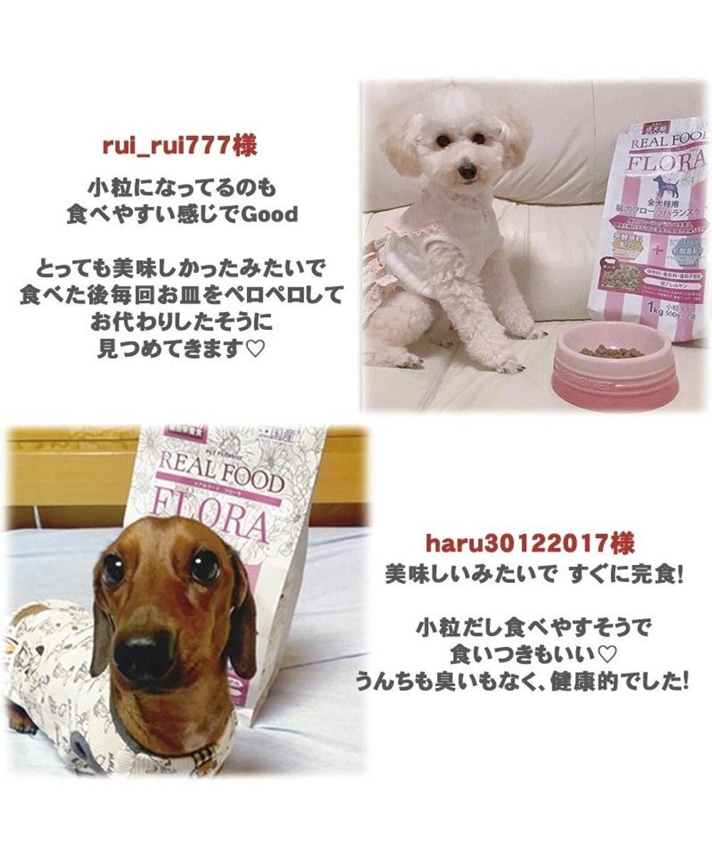 PET PARADISE ペットパラダイス  国産 ドッグフード フローラ3kg 