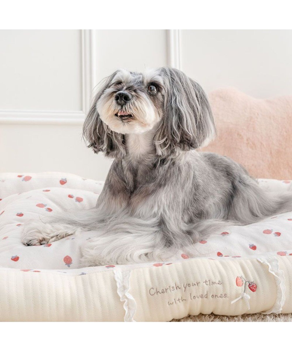 PET PARADISE ペットパラダイス カドラー 《花苺柄》　Ｌ 