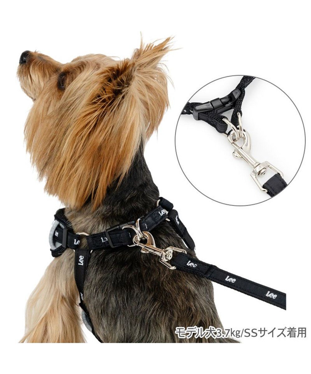 PET PARADISE Lee バンダナ ハーネス＆リード ＳＳ 