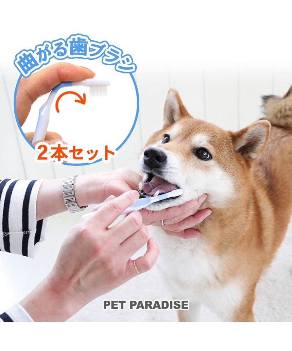 PET PARADISE 【ネット店限定】ペット用品  曲がる 歯ブラシ 2本セット  全犬種対応