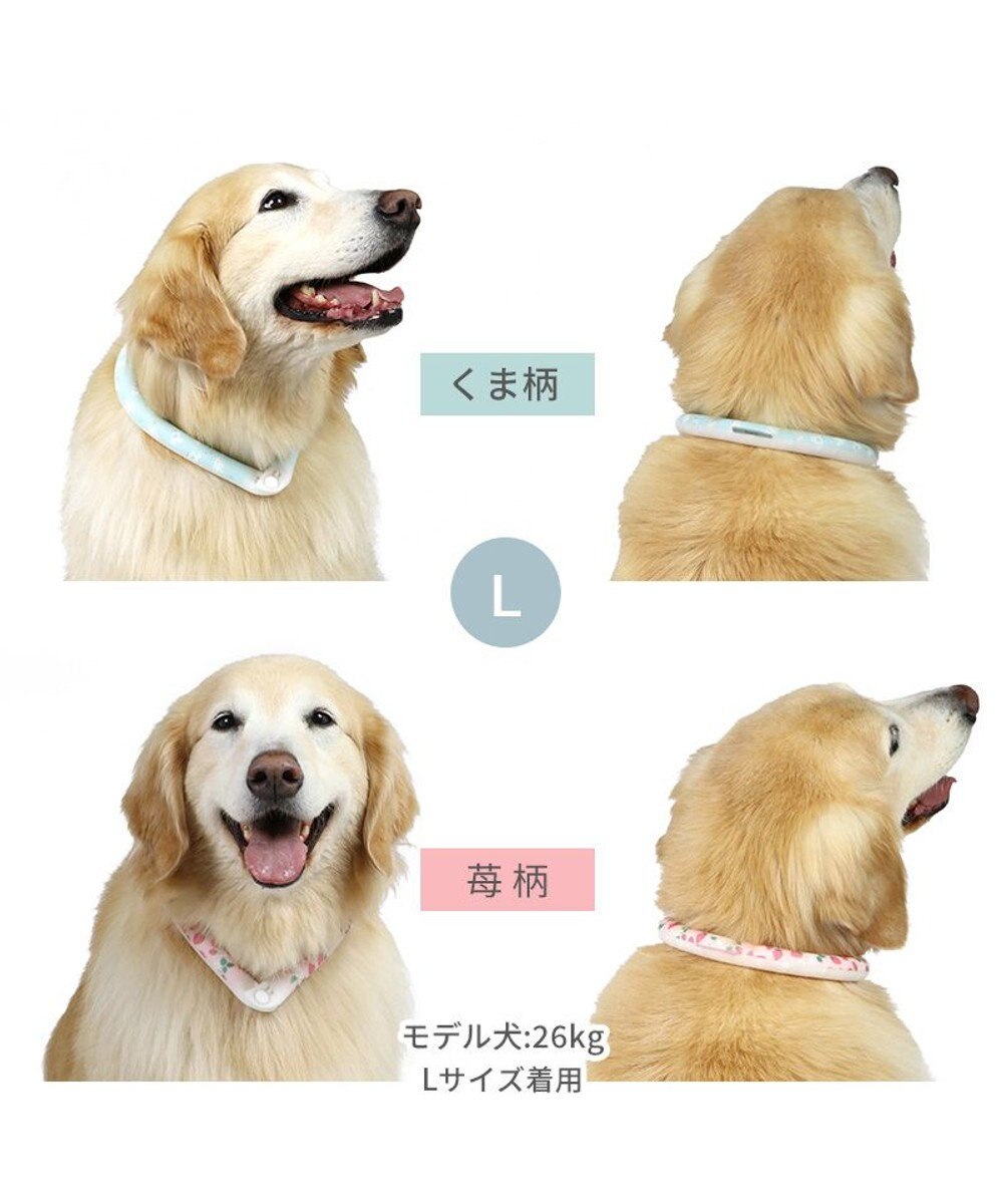PET PARADISE ペットパラダイス 28℃クールリング SUO 《くま柄》 〔Ｌ〕 大型犬 