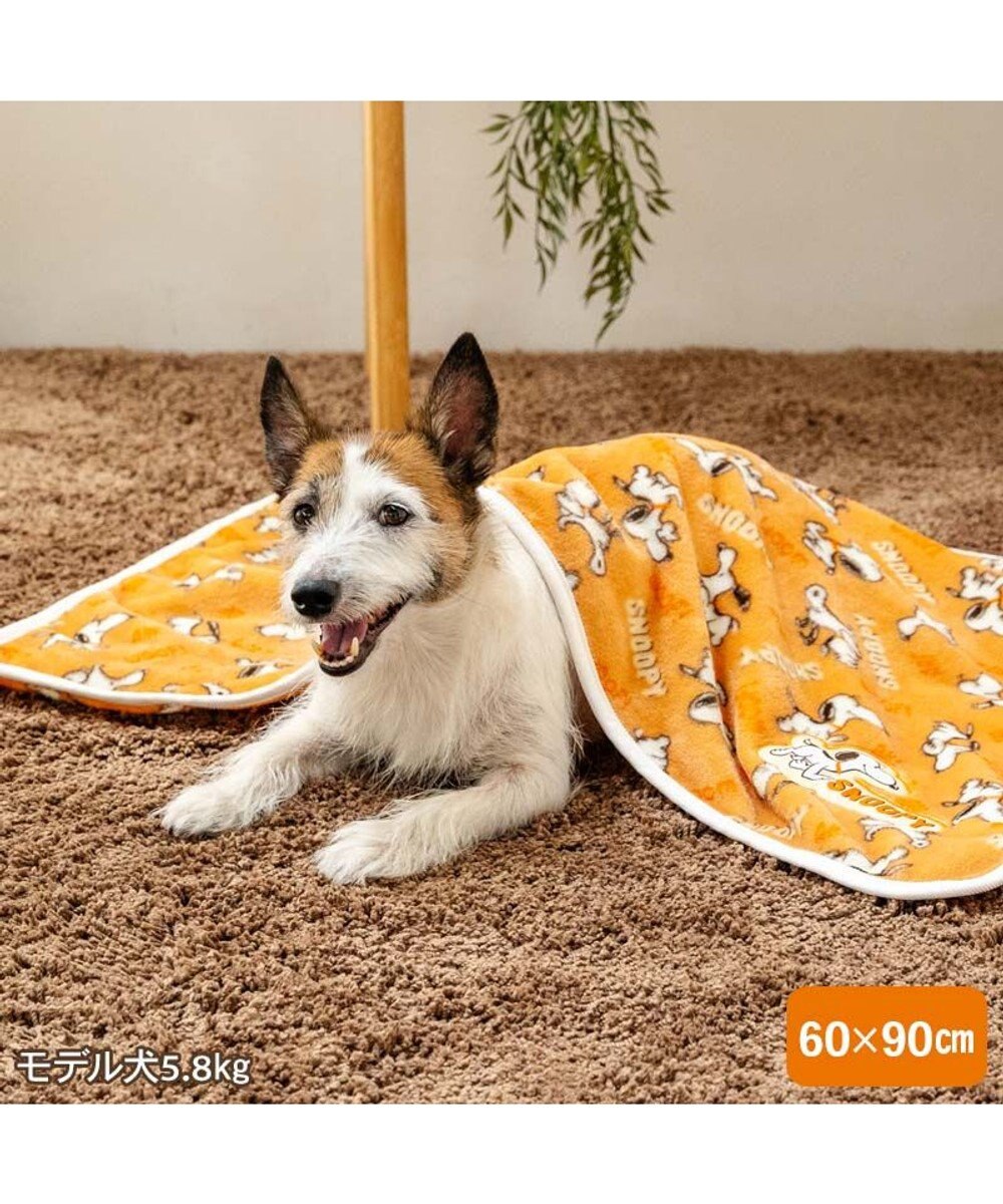 PET PARADISE スヌーピー ブランケット 《てくてく》 