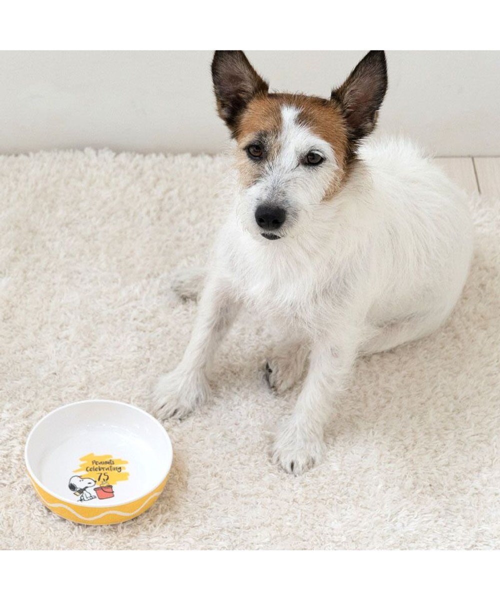 PET PARADISE スヌーピー 75周年 メラミンえさ皿 