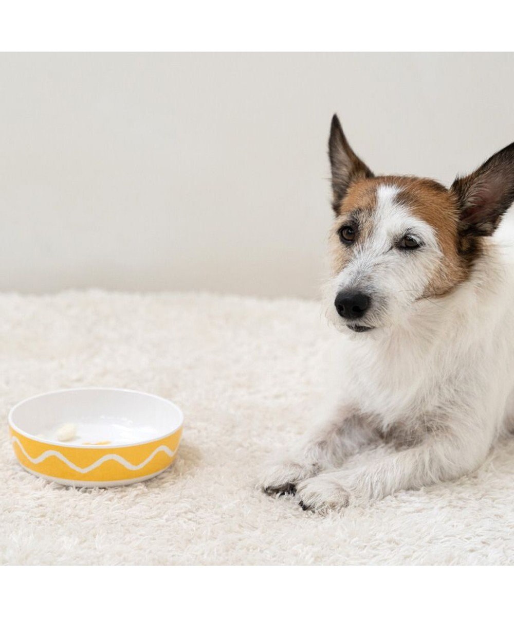 PET PARADISE スヌーピー 75周年 メラミンえさ皿 