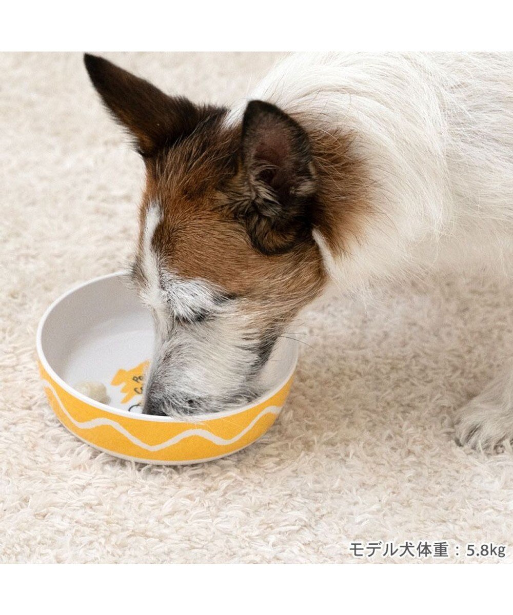 PET PARADISE スヌーピー 75周年 メラミンえさ皿 