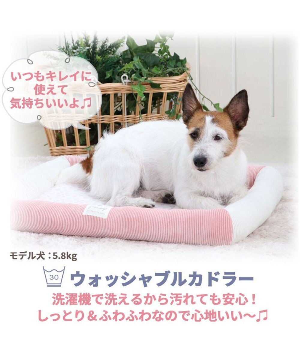 ペット♡ベットかえる柄 ペット♡ベットかえる柄