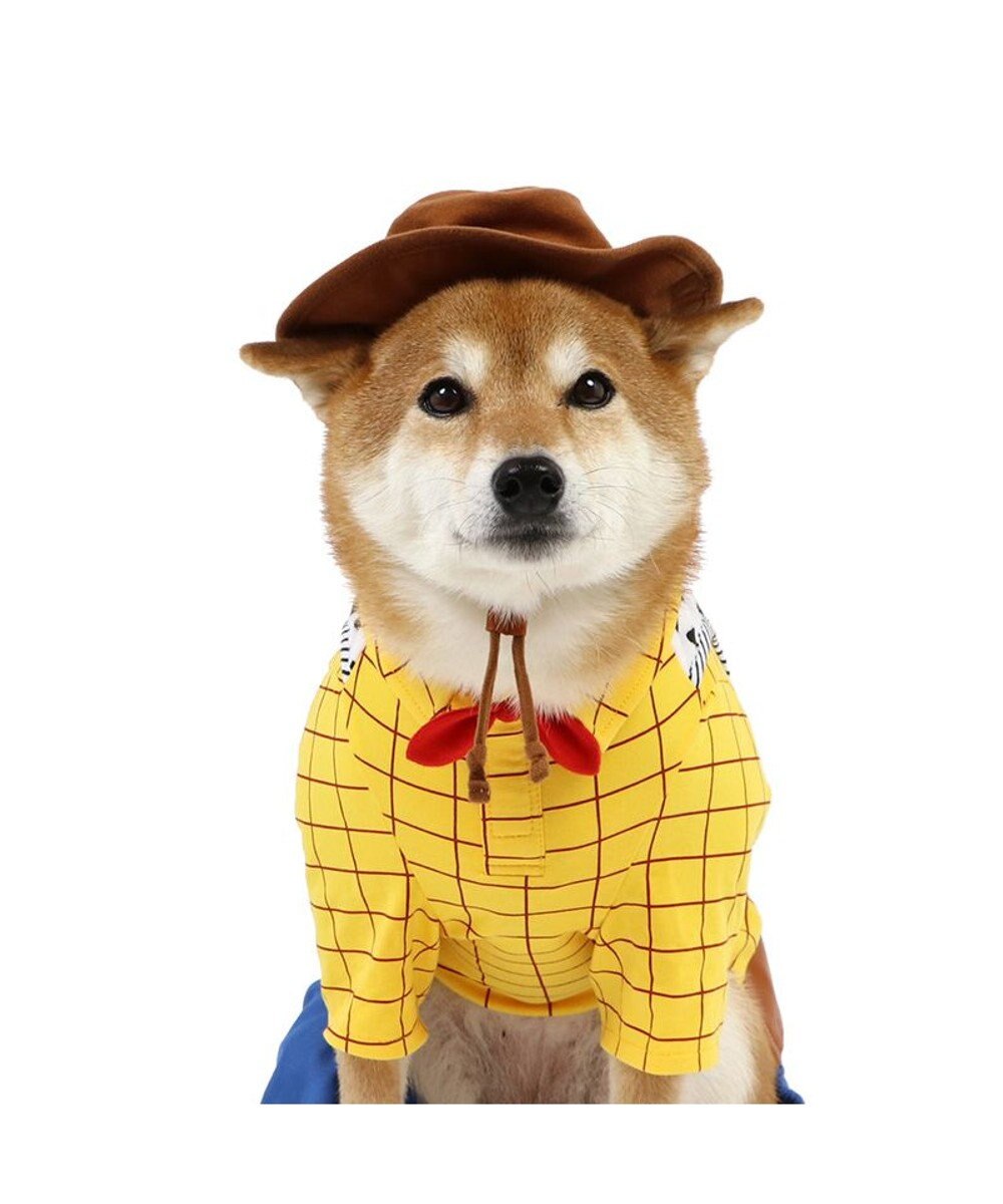 PET PARADISE ディズニー トイ・ストーリー なりきりウッディ 中型犬 