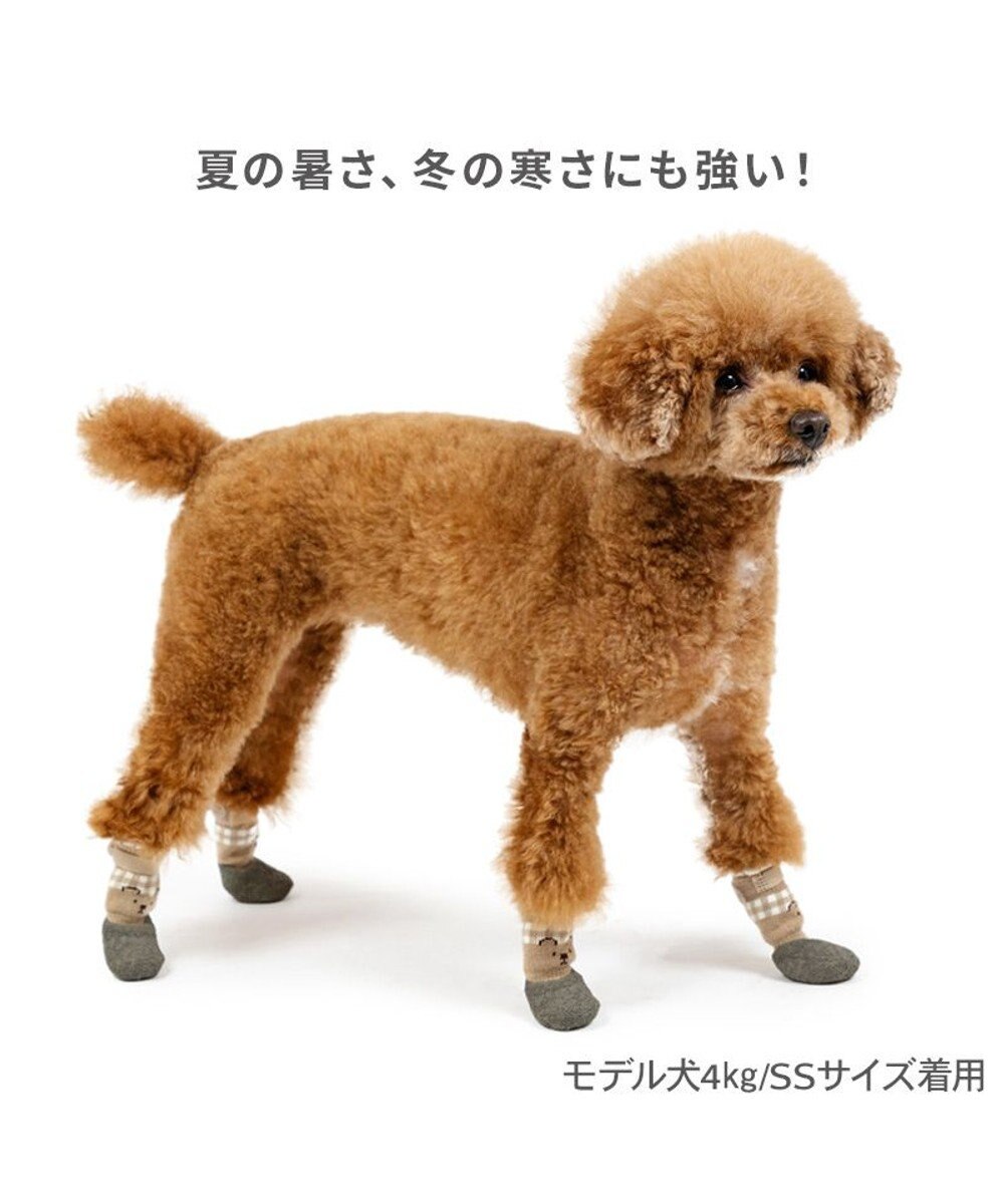 PET PARADISE ペットパラダイス くまちゃん フィット靴 ３Ｓ 