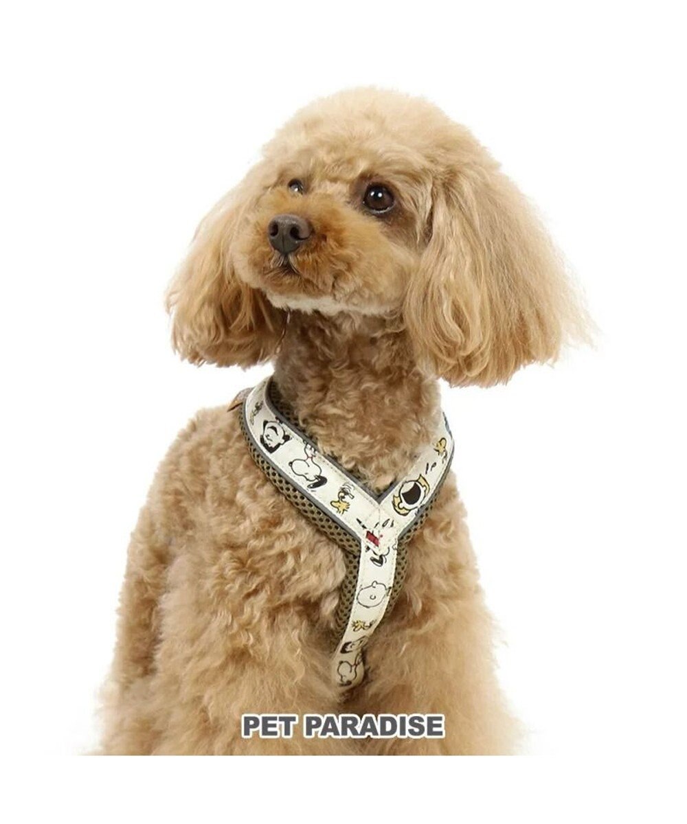 犬用品 ペットグッズ お散歩 ペットパラダイス 犬 ハーネス スヌーピー sm アクティブハーネス 小型犬 おさんぽ おでかけ お出掛け おしゃれ オシャレ かわいい キャラクター Pet Paradise 通販 雑貨とペット用品の通販サイト マザーガーデン ペット 犬用品 ペットグッズ お散歩 ペットパラダイス 犬 ハーネス スヌーピー sm アクティブハーネス 小型犬 おさんぽ おでかけ お出掛け おしゃれ オシャレ かわいい キャラクター Pet Paradise 通販 雑貨とペット用品の通販サイト マザーガーデン ペット
