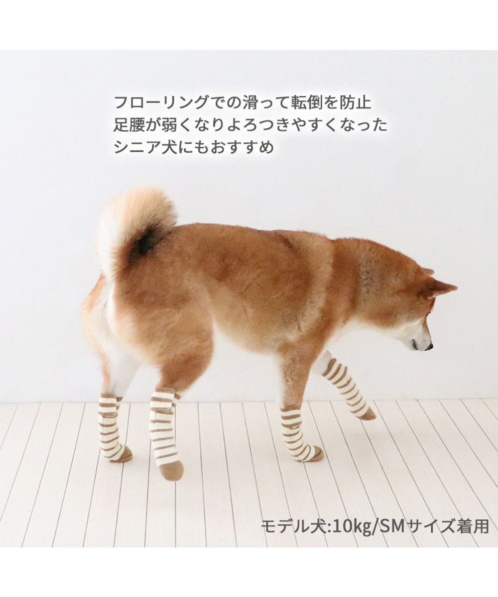 PET PARADISE ペットパラダイス makokoro スリット 靴下  《ボーダー》 SM 中型犬