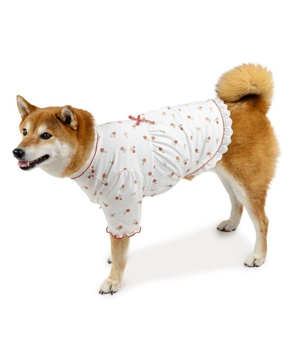PET PARADISE ペットパラダイス ペティヒート天竺 Tシャツ 《いちご》 中型犬 大型犬 