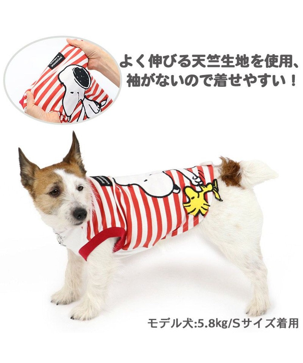 ホワイト系 即納 大特価 小型犬用 パンツ サイズs ウエスト約cm 10cm伸びます 犬用品 ペット用品ホワイト系 48 412 Www Laeknavaktin Is