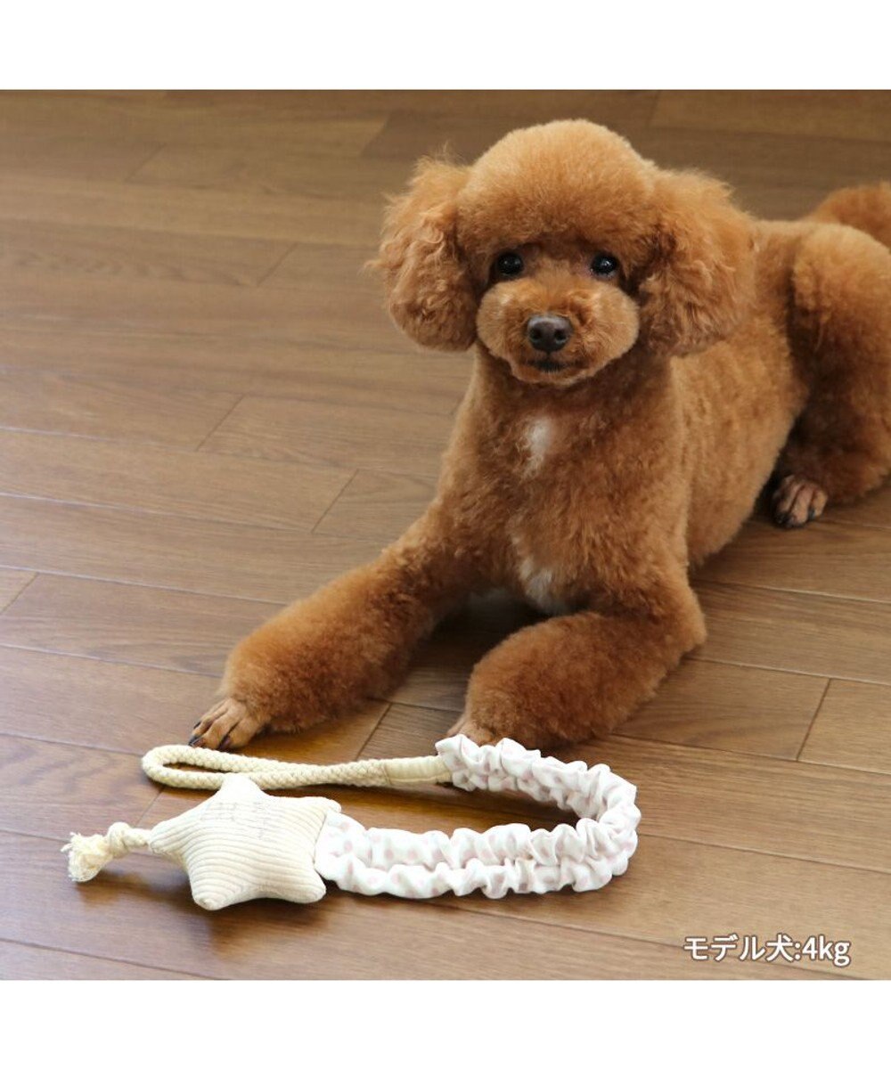 PET PARADISE ペットパラダイス 引っ張り トイ 《雲/星》