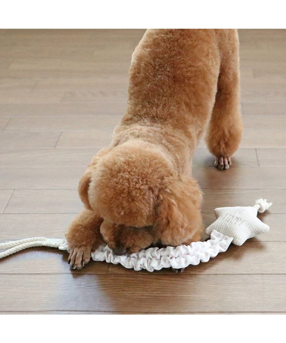 PET PARADISE ペットパラダイス 引っ張り トイ 《雲/星》