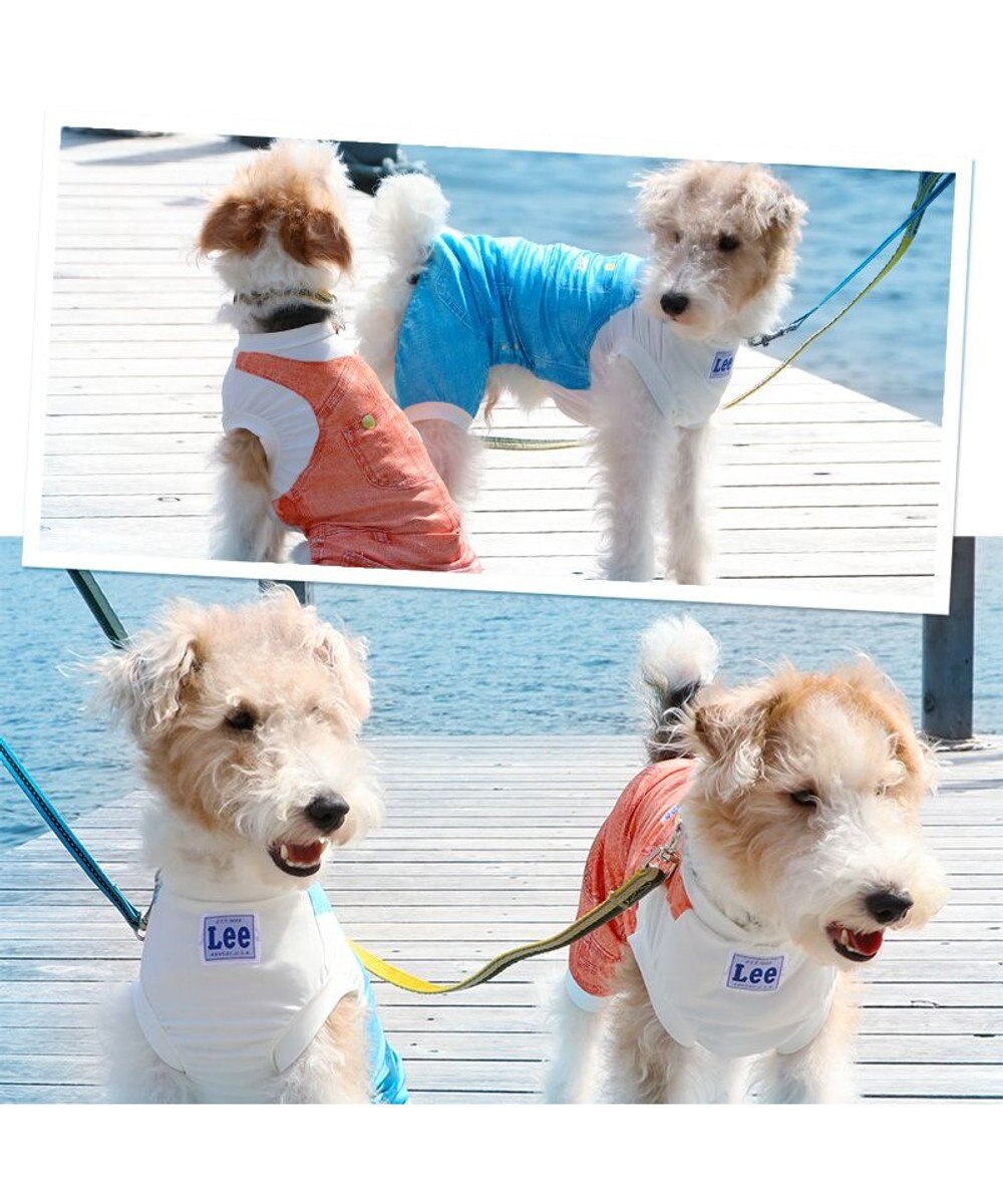 PET PARADISE Ｌｅｅ つなぎ風  ロンパース 【小型犬】《ブルー/オレンジ》クールマックスエコメイド 