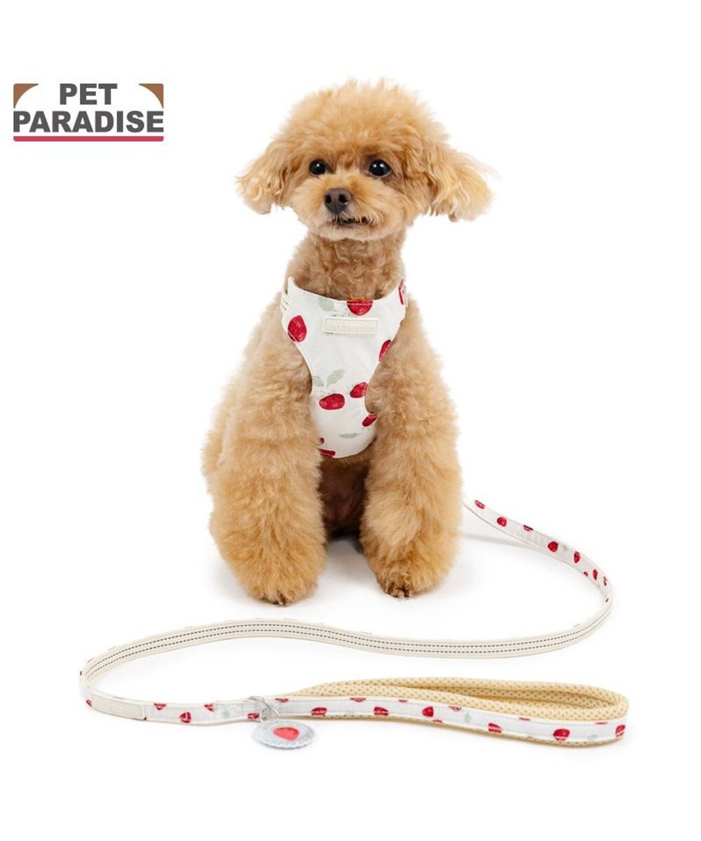 PET PARADISE ペットパラダイス スリム ハーネス＆リード 《苺総柄》 Ｓ 小型犬 