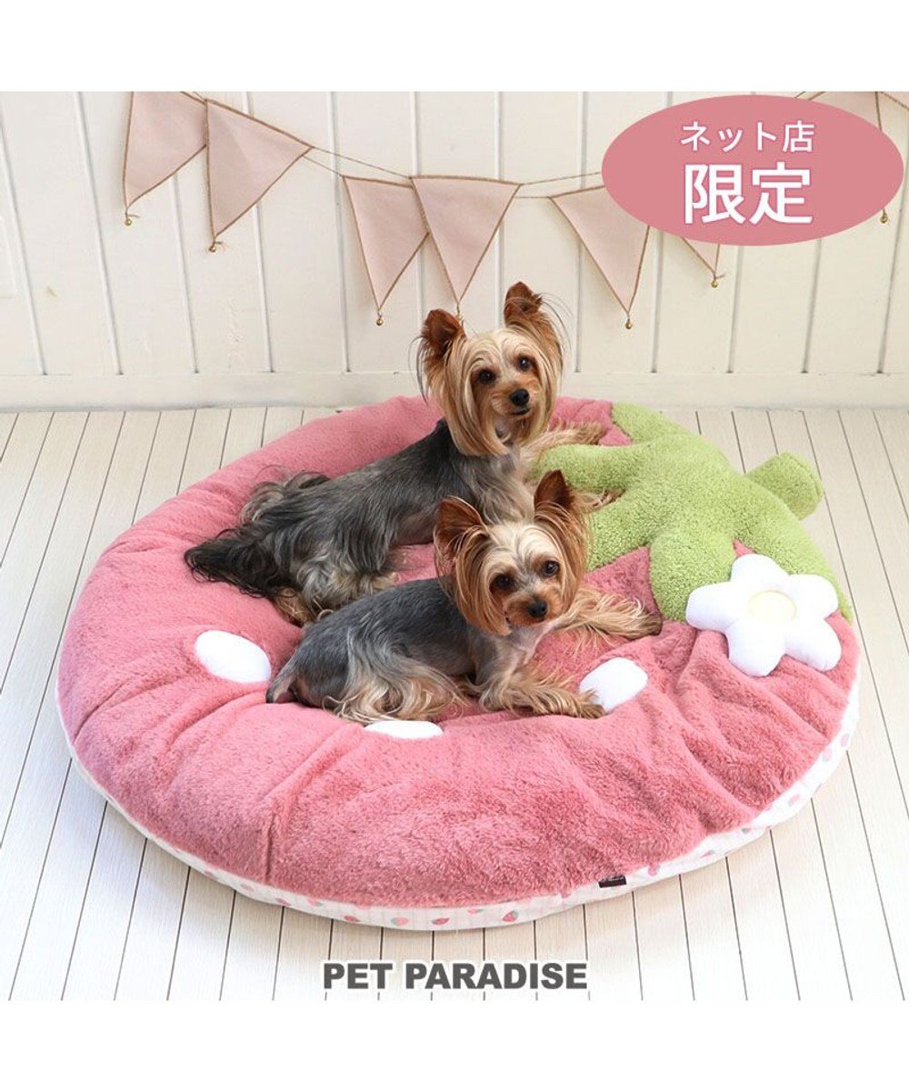 ネット店限定 くすみ苺 クッション (90×92cm) 小型犬, ピンク, -