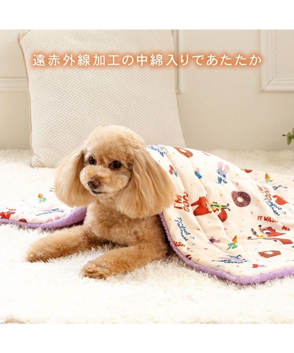 PET PARADISE ディズニー ズートピア もちっと ボア ブランケット