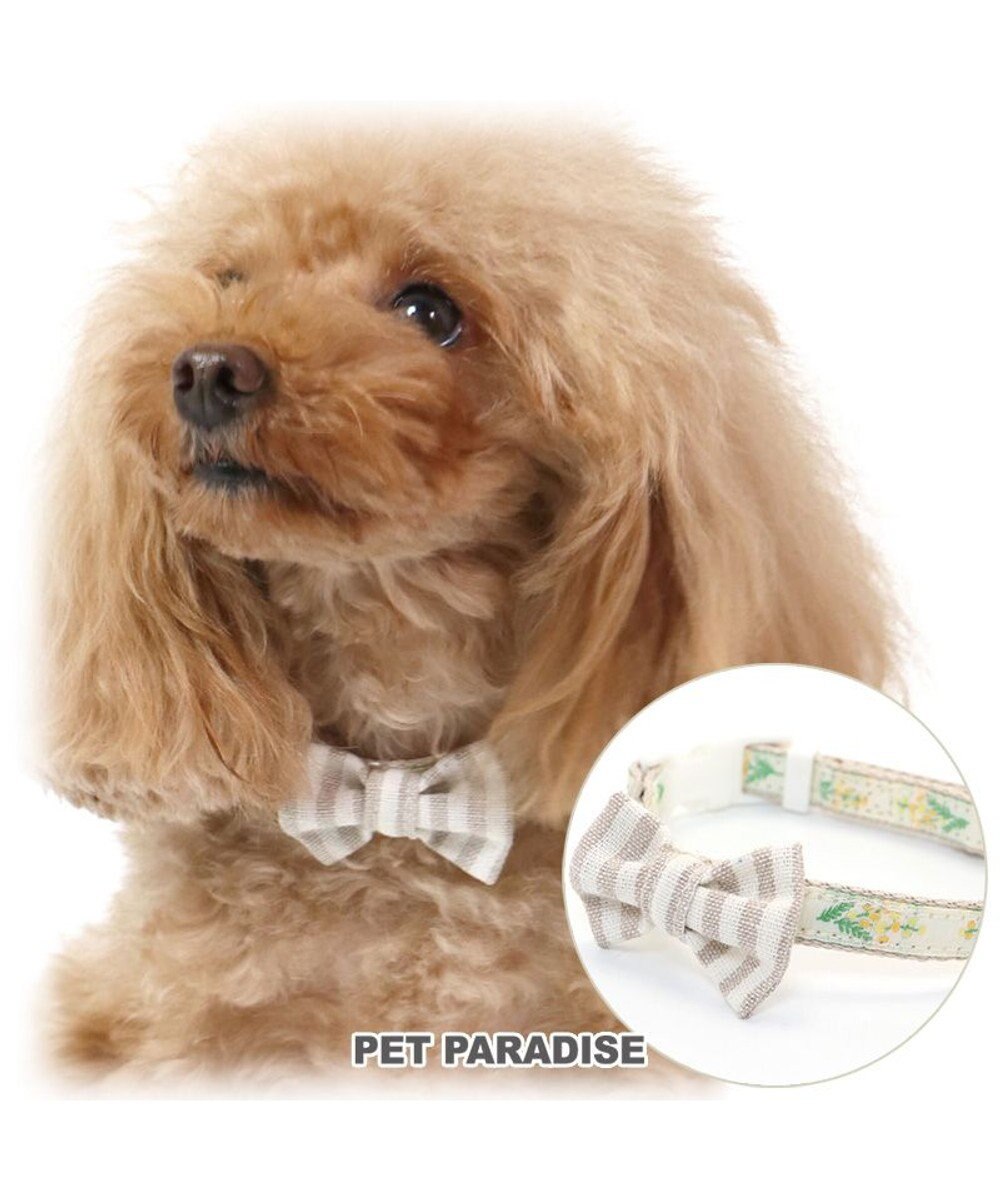 犬 首輪 s ミモザ 小型犬 おさんぽ おでかけ お出掛け おしゃれ オシャレ かわいい Pet Paradise 通販 雑貨とペット用品の通販サイト マザーガーデン ペットパラダイス 犬 首輪 s ミモザ 小型犬 おさんぽ おでかけ お出掛け おしゃれ オシャレ かわいい Pet Paradise 通販 雑貨とペット用品の通販サイト マザーガーデン ペットパラダイス