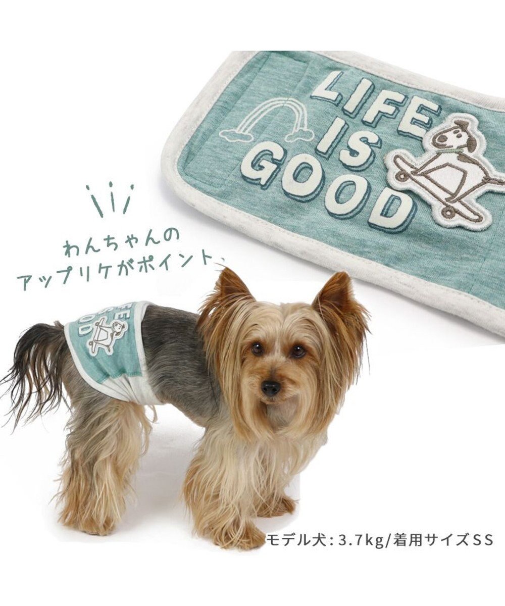 新品 おむつウェア 犬 SSサイズ マルカン マナー - 犬用品