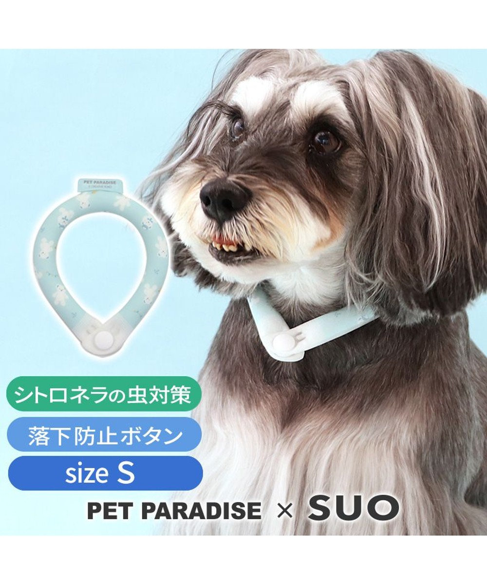 PET PARADISE ペットパラダイス 28℃クールリング SUO 《くま柄》 〔Ｓ〕 小型犬 くまちゃん