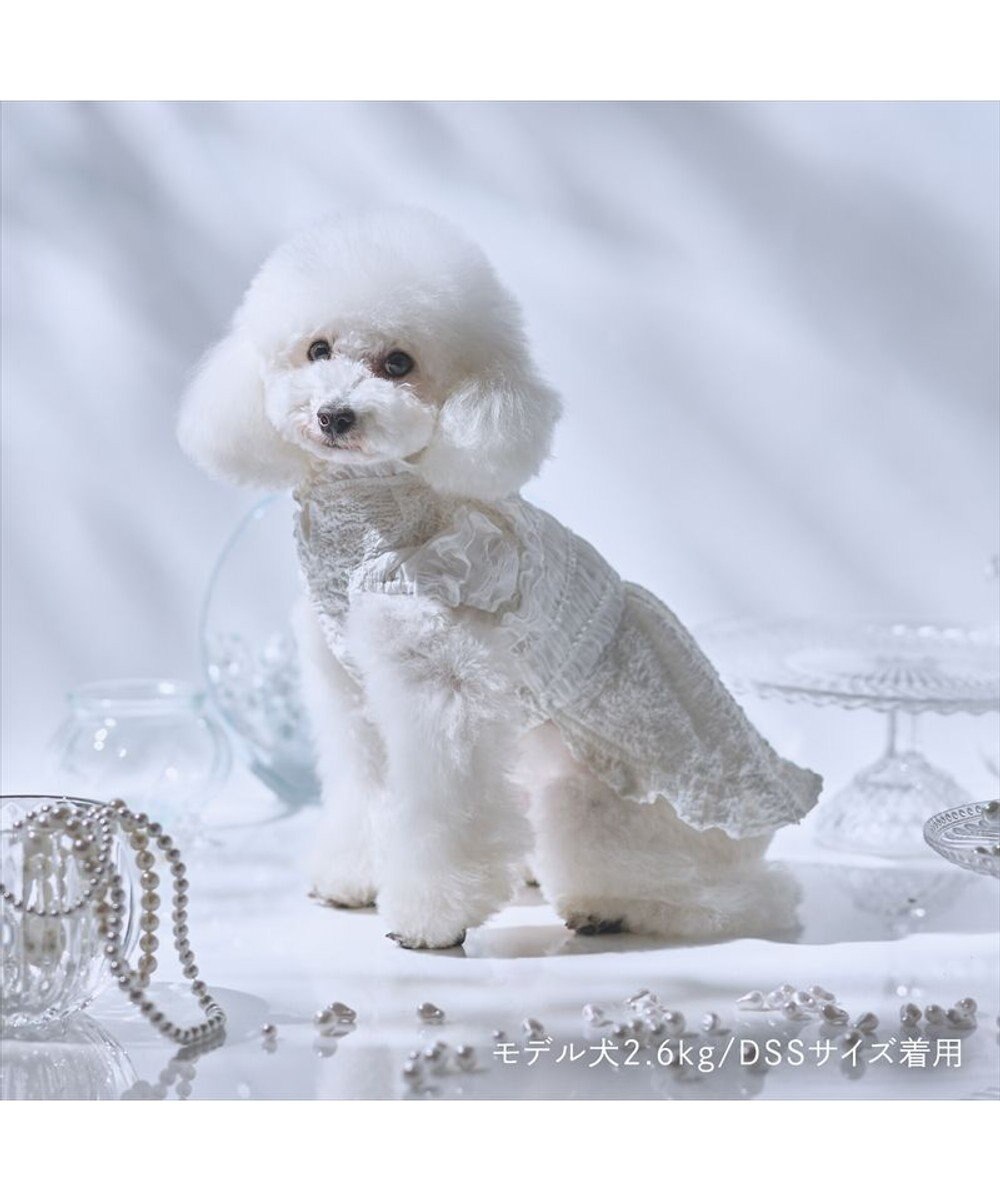PET PARADISE cherircouture くしゅくしゅ ワンピース 小型犬